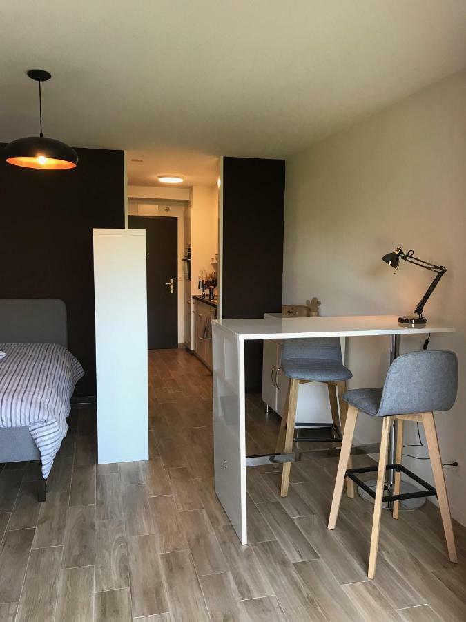 Large Studio Near Epfl And Lausanne City Center Ecublens  Exterior photo