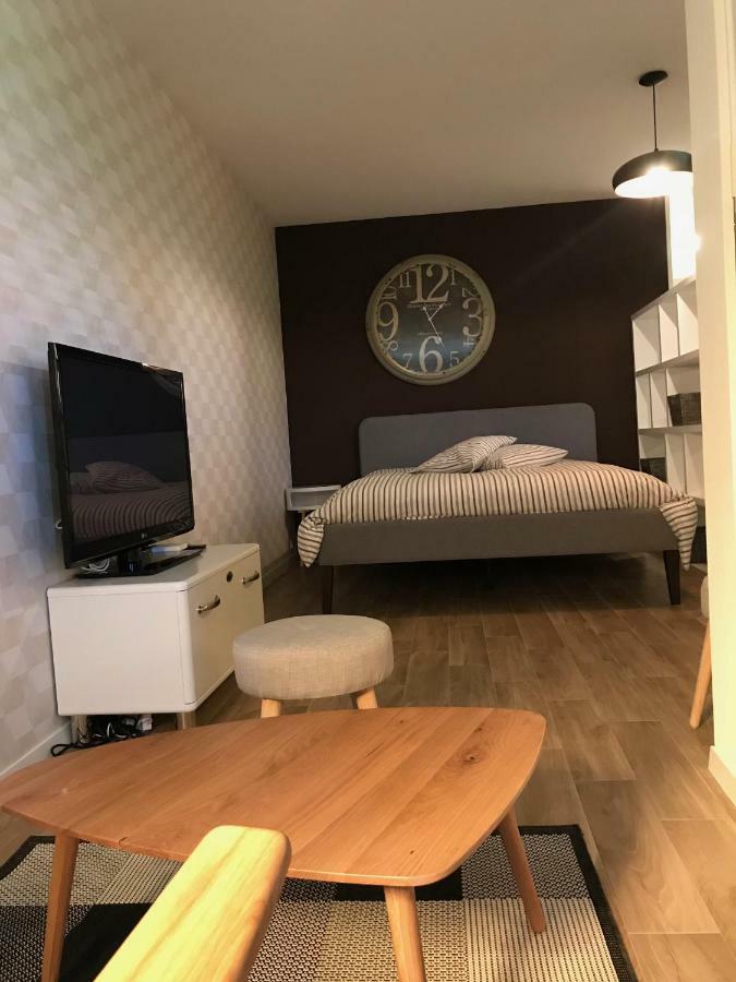 Large Studio Near Epfl And Lausanne City Center Ecublens  Exterior photo